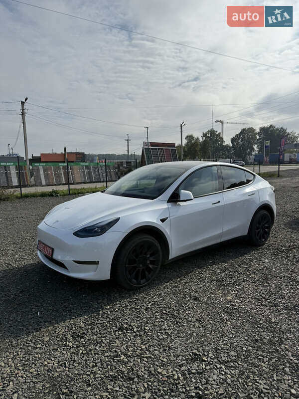 Позашляховик / Кросовер Tesla Model Y 2023 в Луцьку