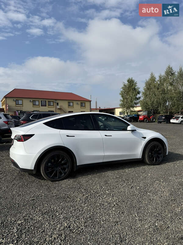 Позашляховик / Кросовер Tesla Model Y 2023 в Луцьку