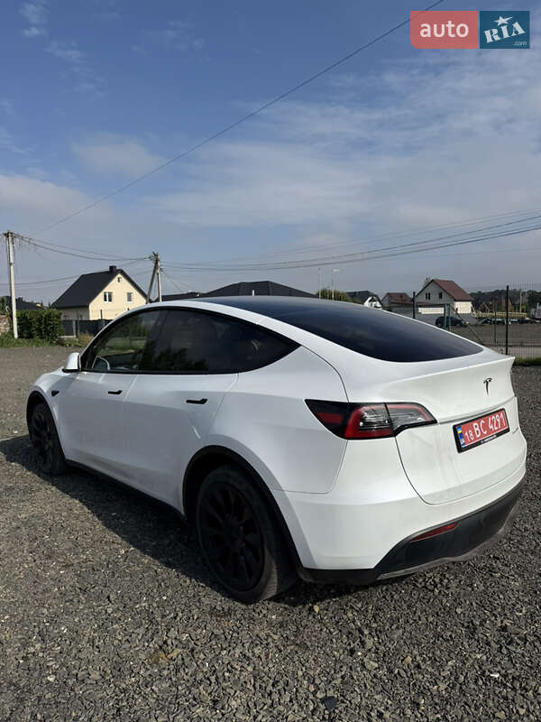 Позашляховик / Кросовер Tesla Model Y 2023 в Луцьку