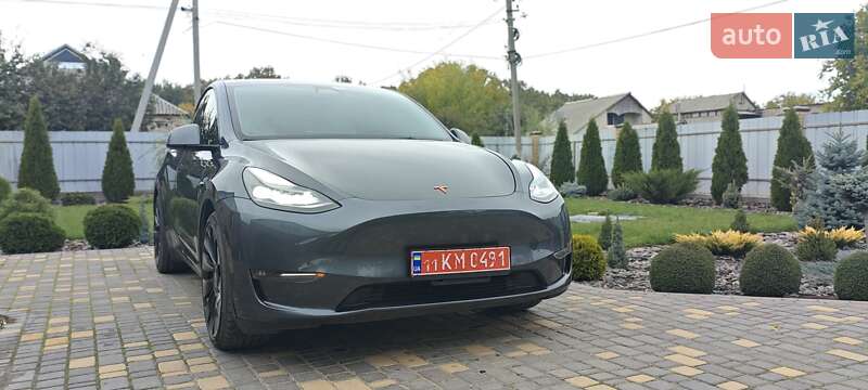 Внедорожник / Кроссовер Tesla Model Y 2022 в Верхнеднепровске