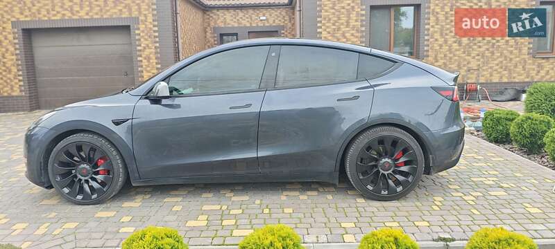 Внедорожник / Кроссовер Tesla Model Y 2022 в Верхнеднепровске
