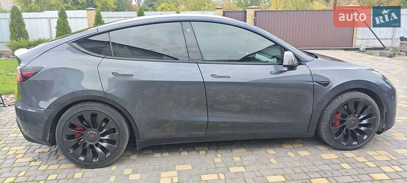 Внедорожник / Кроссовер Tesla Model Y 2022 в Верхнеднепровске