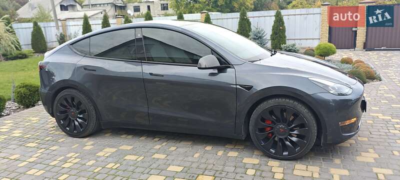 Внедорожник / Кроссовер Tesla Model Y 2022 в Верхнеднепровске