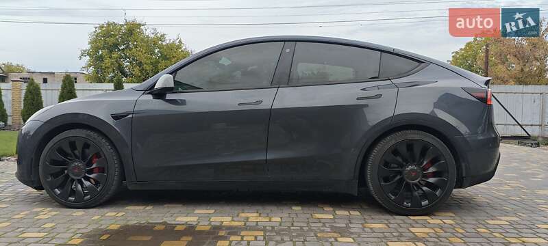 Внедорожник / Кроссовер Tesla Model Y 2022 в Верхнеднепровске