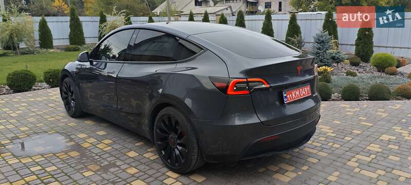 Внедорожник / Кроссовер Tesla Model Y 2022 в Верхнеднепровске
