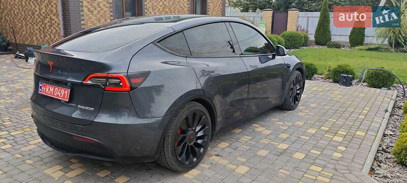 Внедорожник / Кроссовер Tesla Model Y 2022 в Верхнеднепровске
