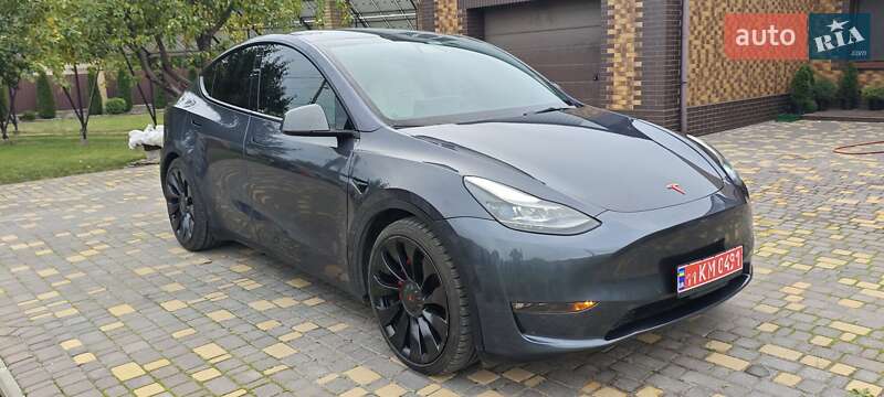 Внедорожник / Кроссовер Tesla Model Y 2022 в Верхнеднепровске