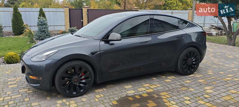Внедорожник / Кроссовер Tesla Model Y 2022 в Верхнеднепровске