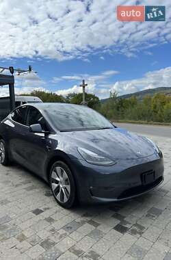 Внедорожник / Кроссовер Tesla Model Y 2023 в 