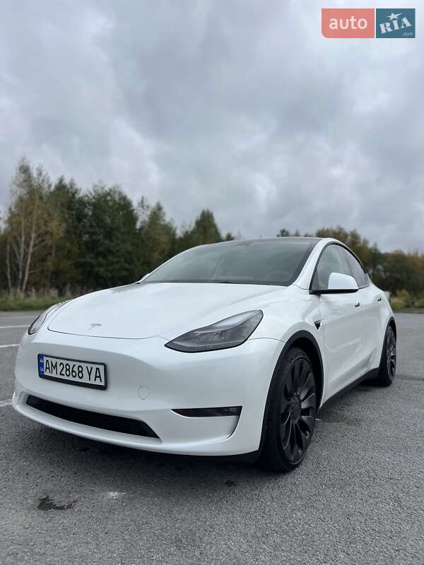 Позашляховик / Кросовер Tesla Model Y 2023 в Звягелі