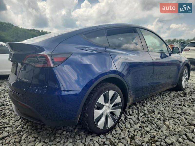 Позашляховик / Кросовер Tesla Model Y 2021 в Києві