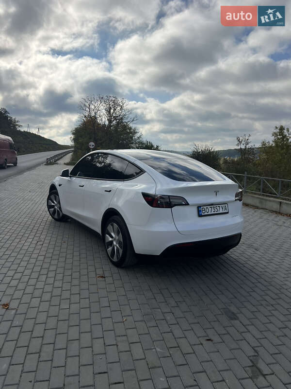 Внедорожник / Кроссовер Tesla Model Y 2023 в Тернополе