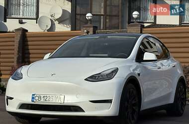 Позашляховик / Кросовер Tesla Model Y 2021 в 