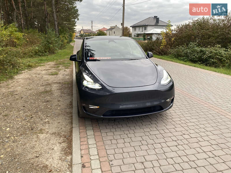 Позашляховик / Кросовер Tesla Model Y 2024 в Львові