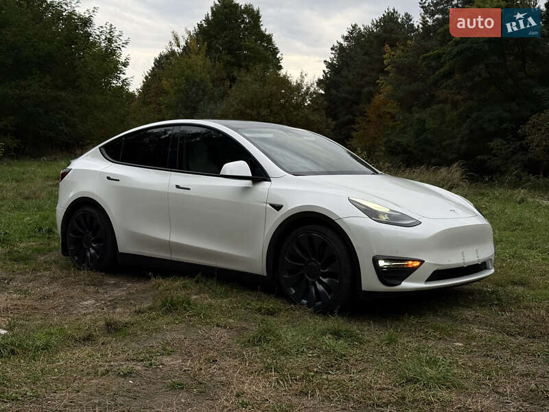 Позашляховик / Кросовер Tesla Model Y 2022 в Городку фото 5 Позашляховик / Кросовер Tesla Model Y 2022 в Городку