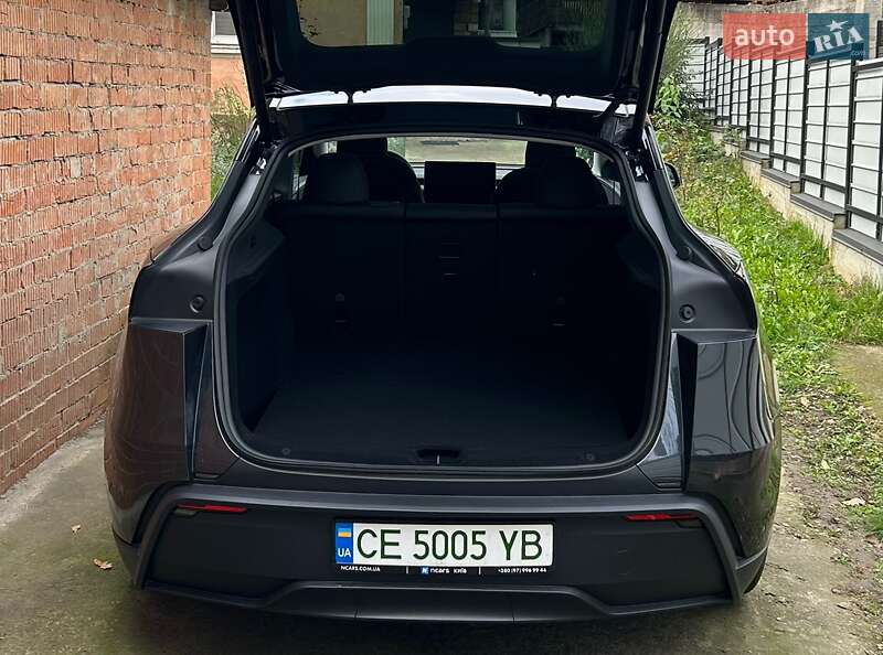 Позашляховик / Кросовер Tesla Model Y 2025 в Чернівцях фото 5 Позашляховик / Кросовер Tesla Model Y 2025 в Чернівцях
