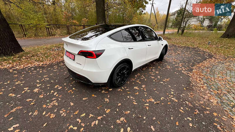 Внедорожник / Кроссовер Tesla Model Y 2020 в Житомире