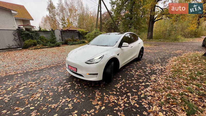 Внедорожник / Кроссовер Tesla Model Y 2020 в Житомире