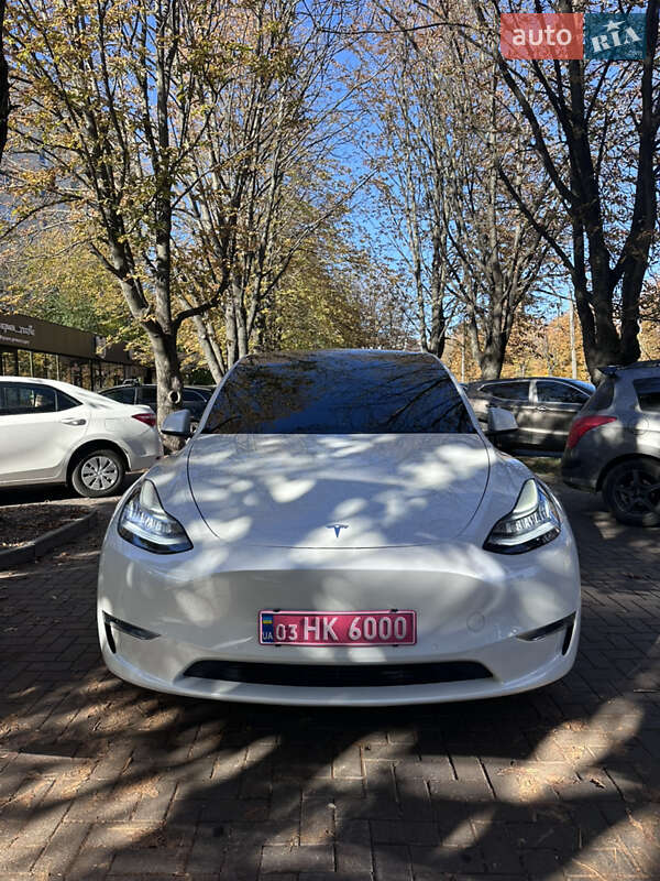 Внедорожник / Кроссовер Tesla Model Y 2020 в Луцке фото 2 Внедорожник / Кроссовер Tesla Model Y 2020 в Луцке