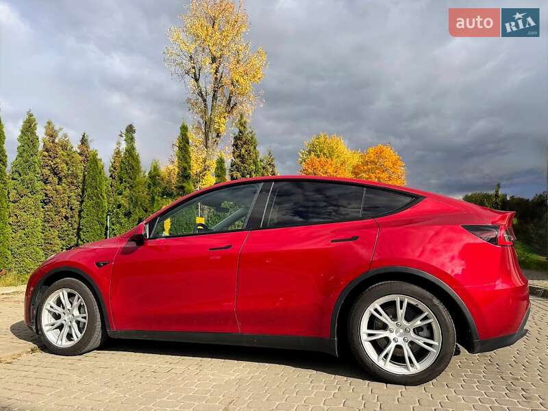 Позашляховик / Кросовер Tesla Model Y 2021 в Львові фото 6 Позашляховик / Кросовер Tesla Model Y 2021 в Львові