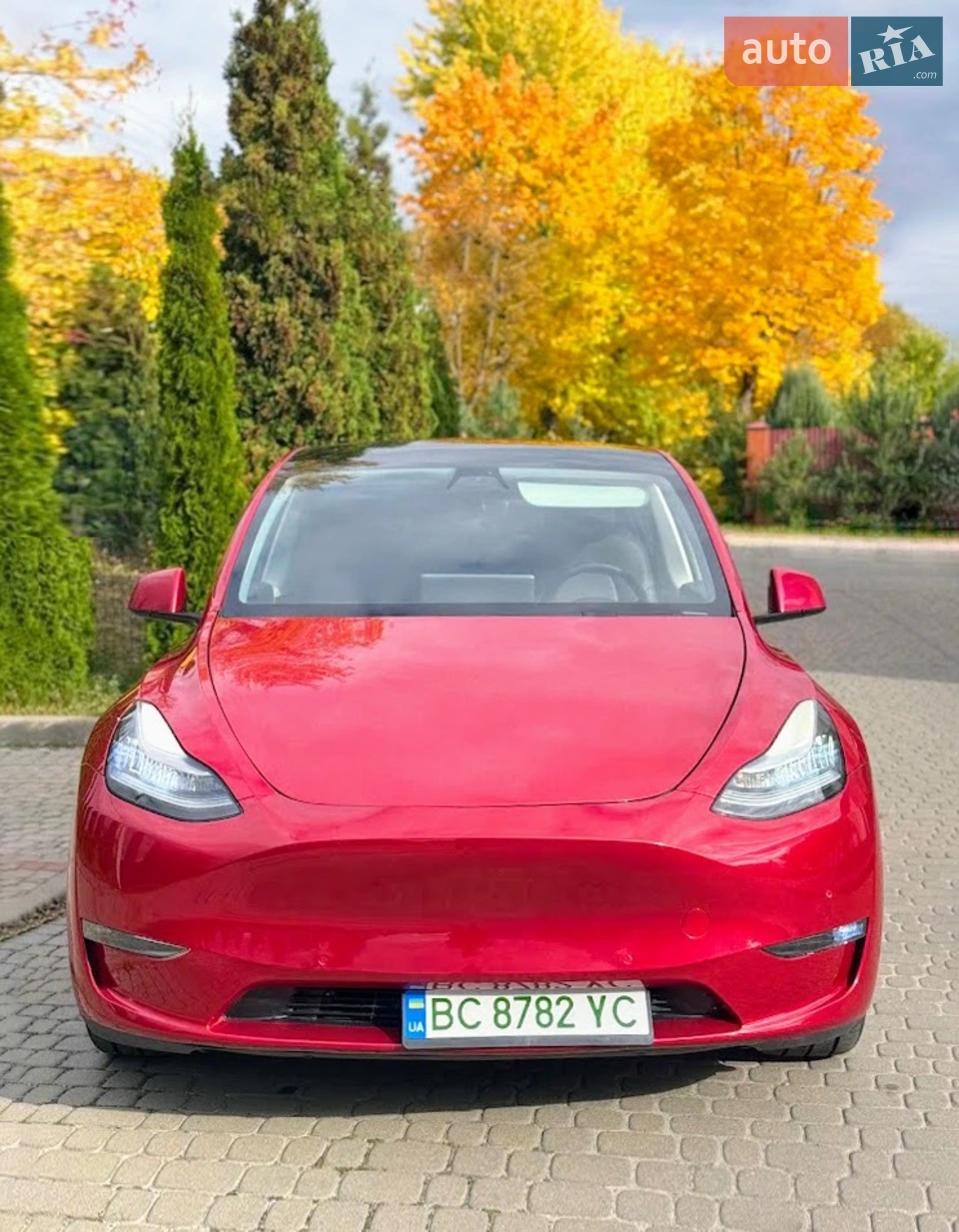 2020 Tesla Model Y - мініатюра 15