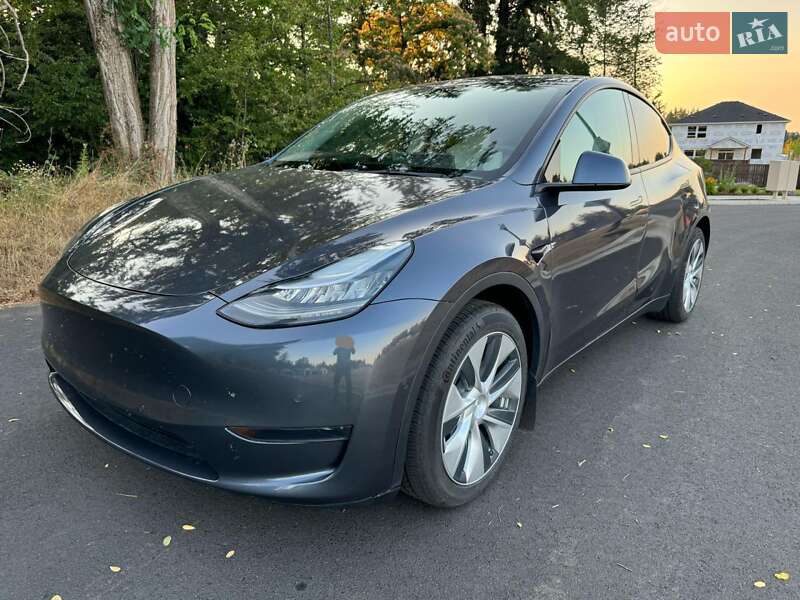 Позашляховик / Кросовер Tesla Model Y 2021 в Чернігові