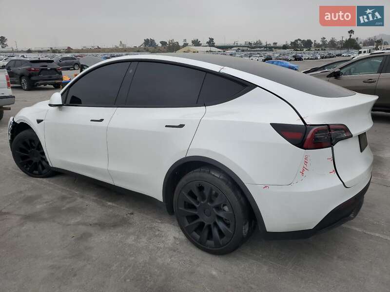 Позашляховик / Кросовер Tesla Model Y 2023 в Києві