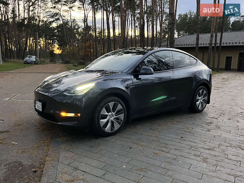 Позашляховик / Кросовер Tesla Model Y 2022 в Житомирі фото 29 Позашляховик / Кросовер Tesla Model Y 2022 в Житомирі