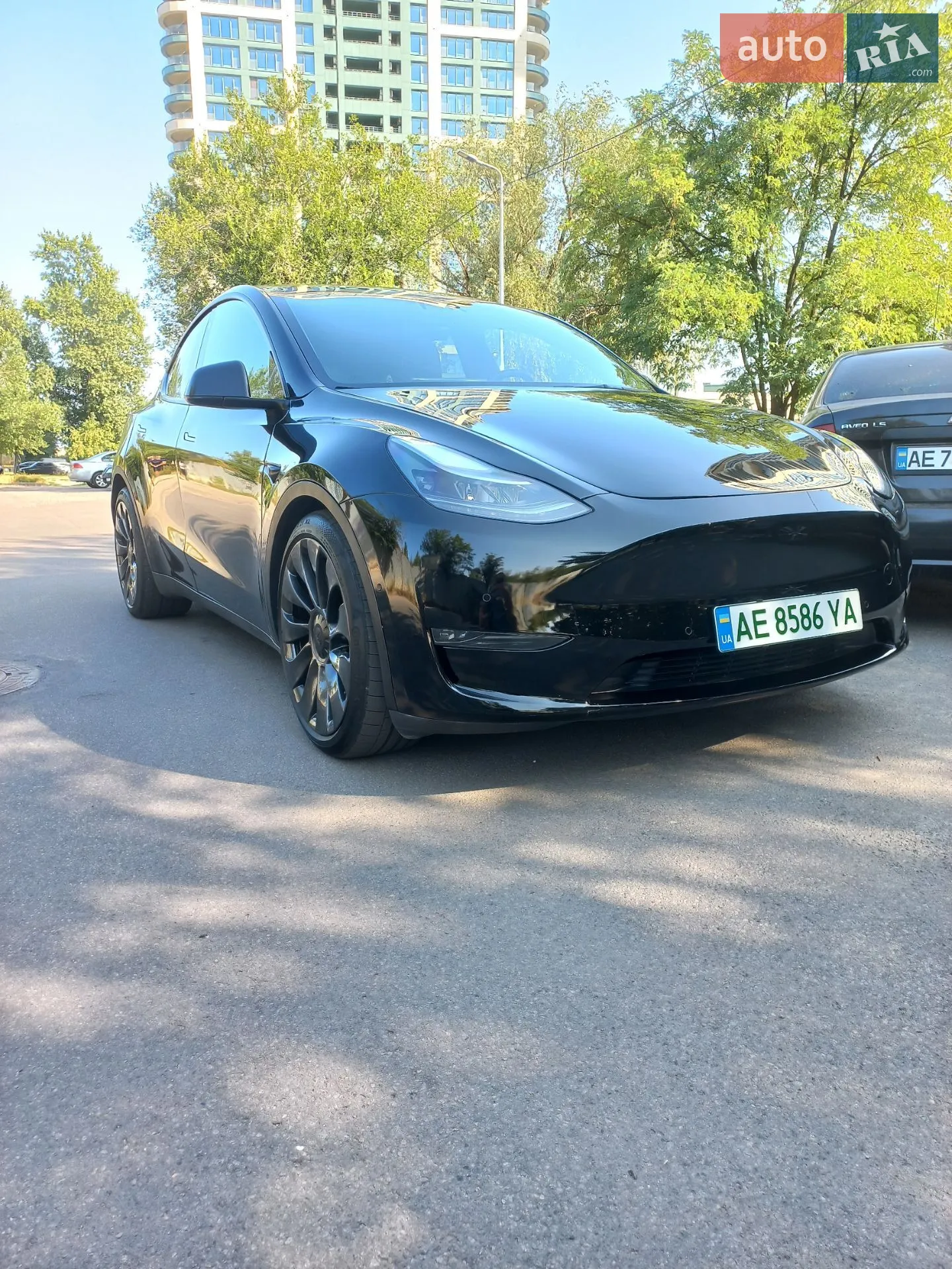 2022 Tesla Model Y - фото 1