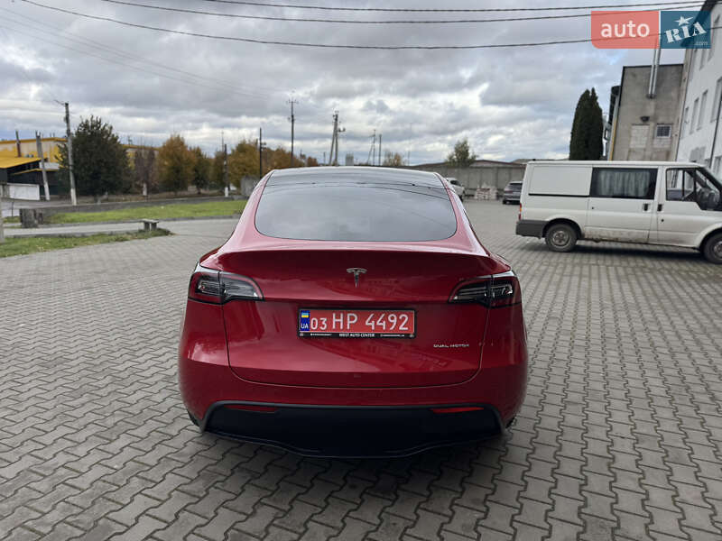 Позашляховик / Кросовер Tesla Model Y 2021 в Луцьку