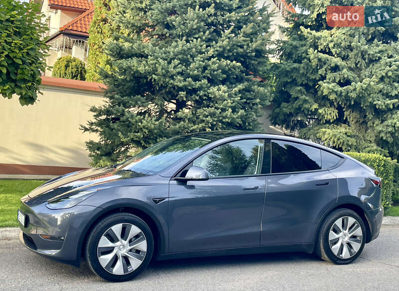 Внедорожник / Кроссовер Tesla Model Y 2023 в Днепре