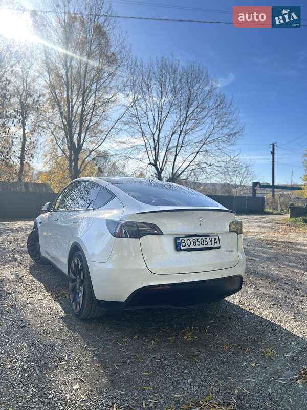 Внедорожник / Кроссовер Tesla Model Y 2022 в Бережанах