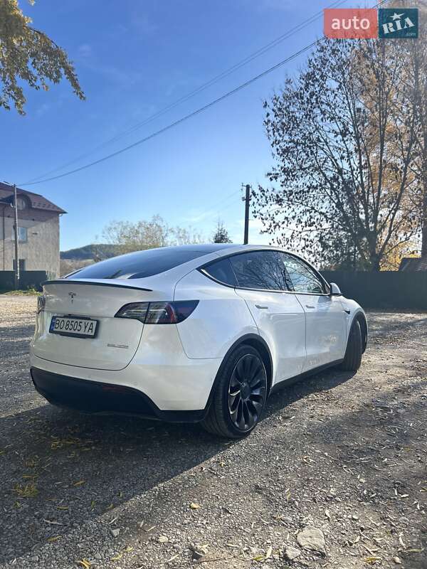 Внедорожник / Кроссовер Tesla Model Y 2022 в Бережанах