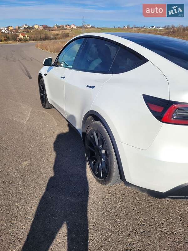 Позашляховик / Кросовер Tesla Model Y 2023 в Львові