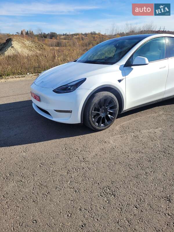 Позашляховик / Кросовер Tesla Model Y 2023 в Львові