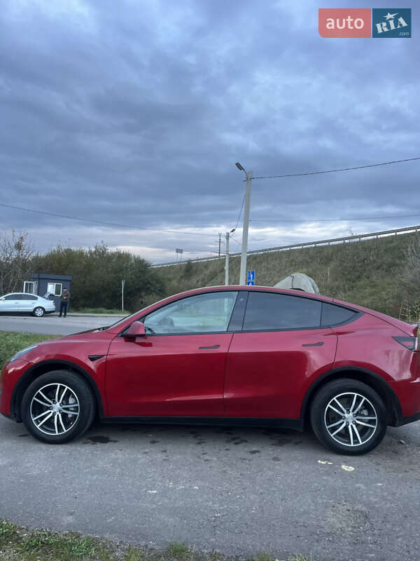 Внедорожник / Кроссовер Tesla Model Y 2020 в Львове