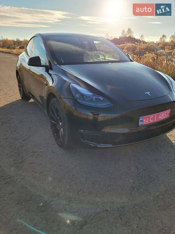 Внедорожник / Кроссовер Tesla Model Y 2023 в Львове