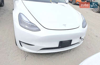 Внедорожник / Кроссовер Tesla Model Y 2024 в Жовкве