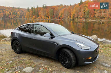 Внедорожник / Кроссовер Tesla Model Y 2022 в Киеве