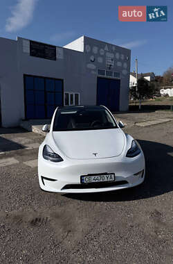 Внедорожник / Кроссовер Tesla Model Y 2023 в Черновцах