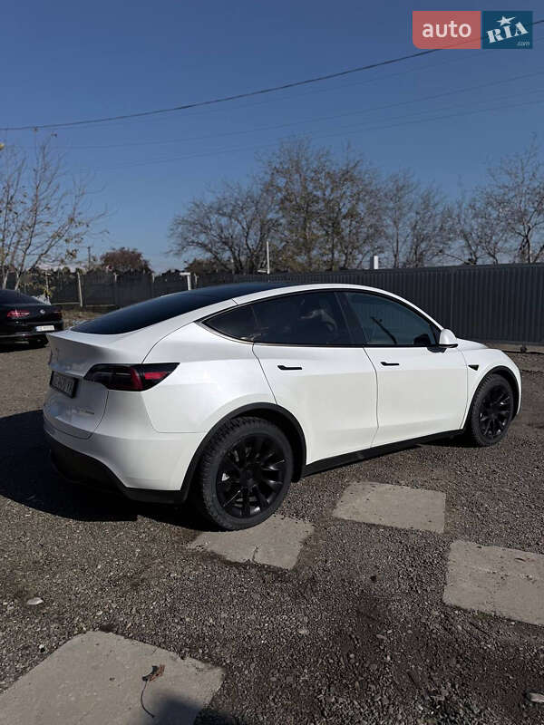 Внедорожник / Кроссовер Tesla Model Y 2023 в Черновцах