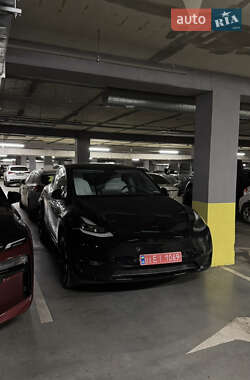 Позашляховик / Кросовер Tesla Model Y 2024 в Львові