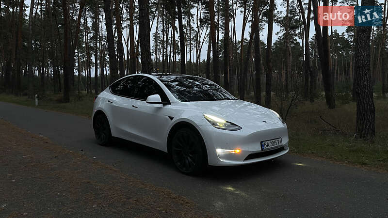Позашляховик / Кросовер Tesla Model Y 2022 в Олександрівці