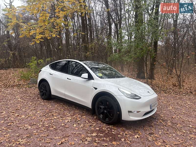 Позашляховик / Кросовер Tesla Model Y 2021 в Києві