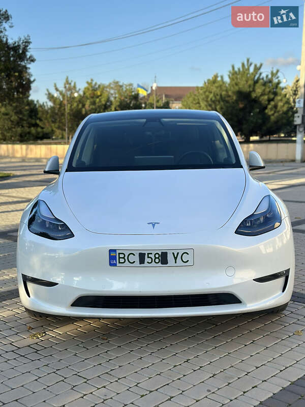 Позашляховик / Кросовер Tesla Model Y 2022 в Визирці фото 2 Позашляховик / Кросовер Tesla Model Y 2022 в Визирці