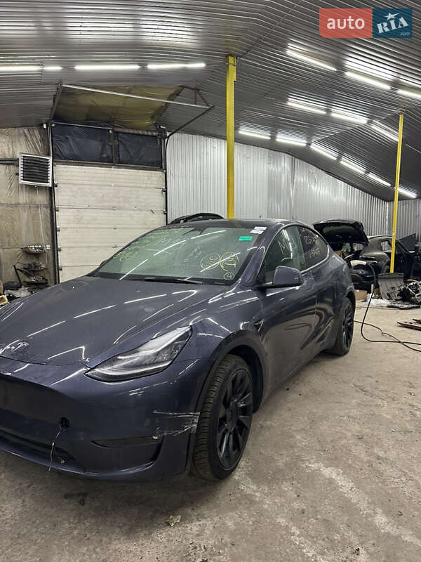 Внедорожник / Кроссовер Tesla Model Y 2022 в Киеве
