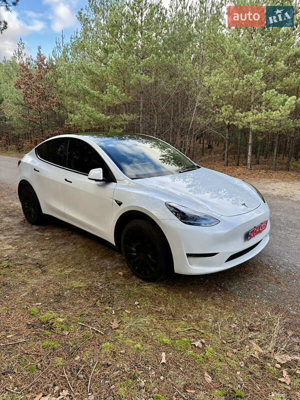 Позашляховик / Кросовер Tesla Model Y 2024 в Києві