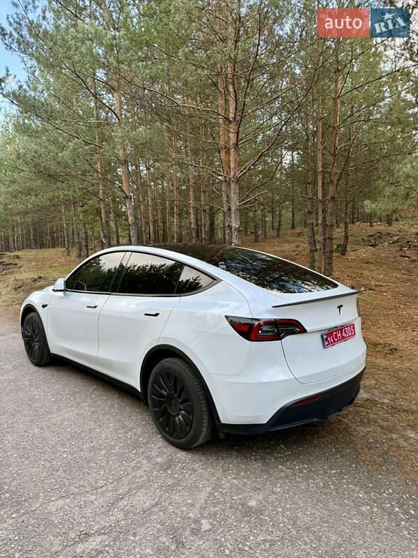 Позашляховик / Кросовер Tesla Model Y 2024 в Києві