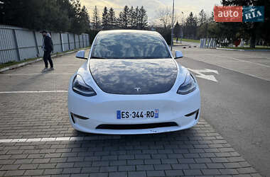 Позашляховик / Кросовер Tesla Model Y 2023 в Луцьку