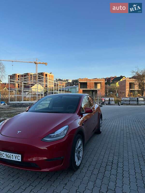Внедорожник / Кроссовер Tesla Model Y 2023 в Львове фото 3 Внедорожник / Кроссовер Tesla Model Y 2023 в Львове